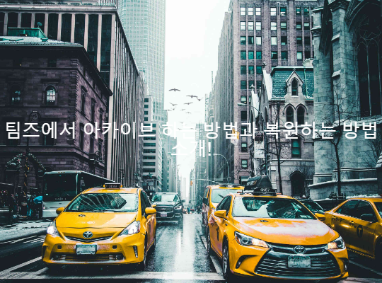 팀아카이브 이미지