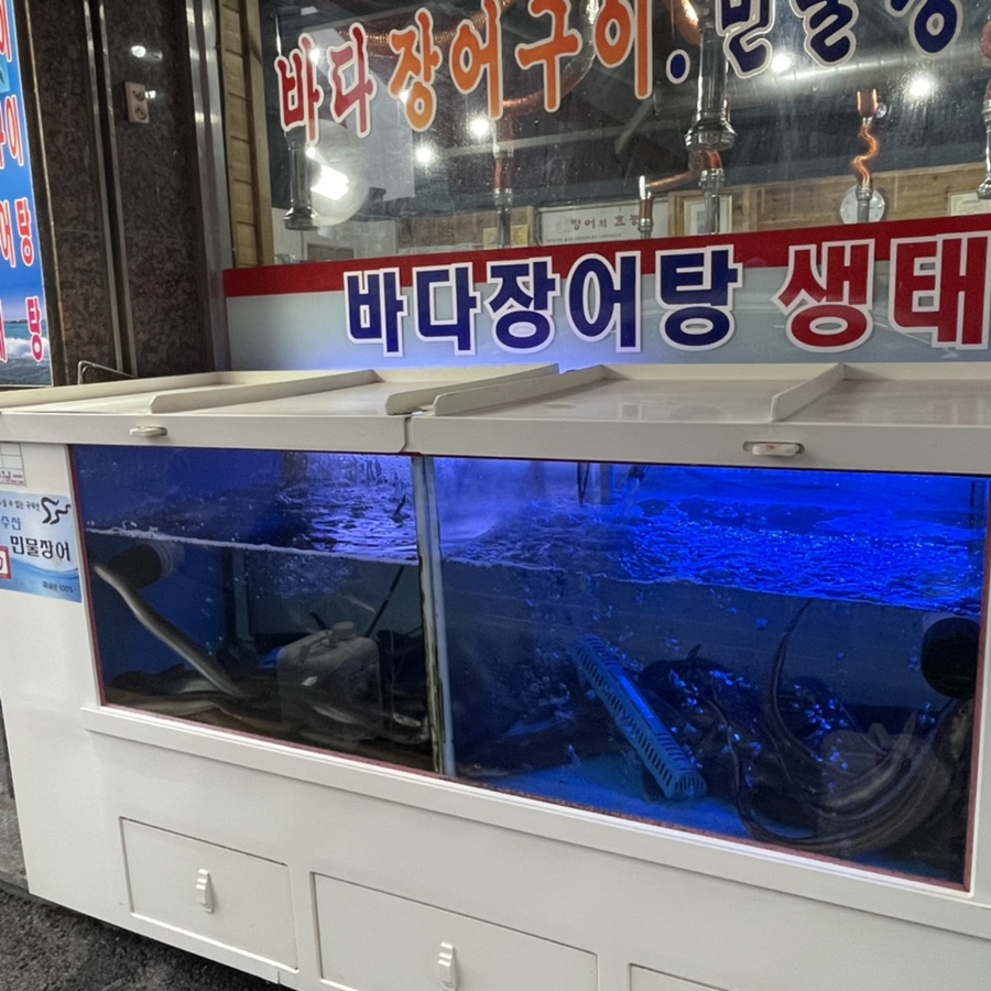 고흥장어마을 이미지