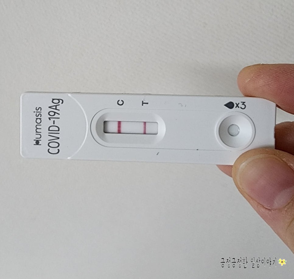 무지개연합의원 이미지