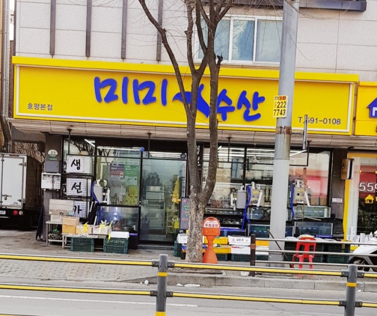 미미수산 이미지