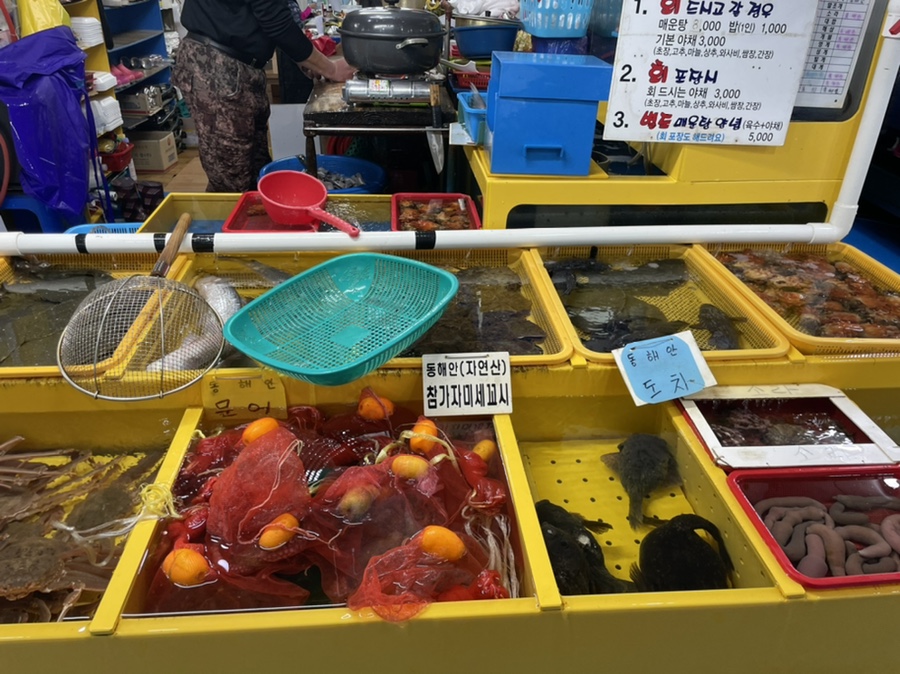 수정활어회센타 이미지