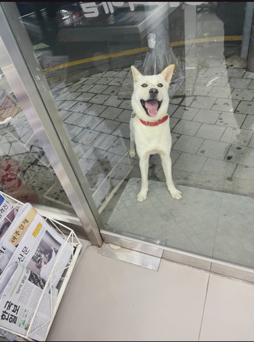 만복편의점 이미지