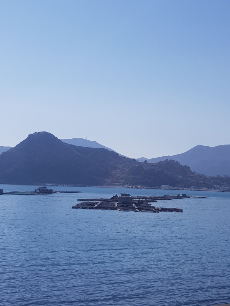 이도수산 이미지