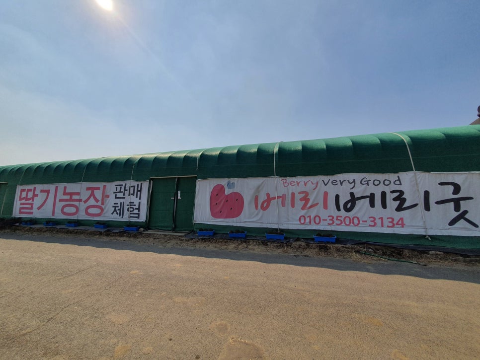 태성참딸기농원 이미지