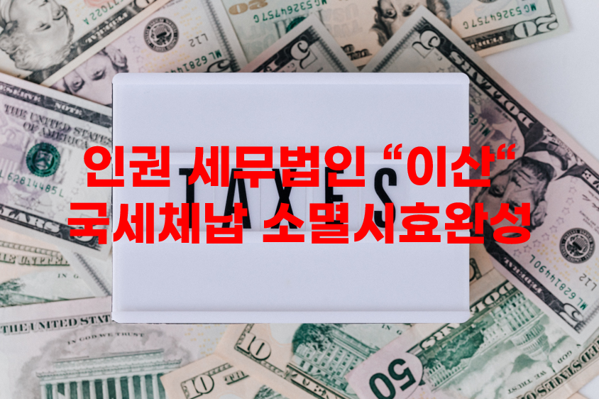 세무법인이산 이미지