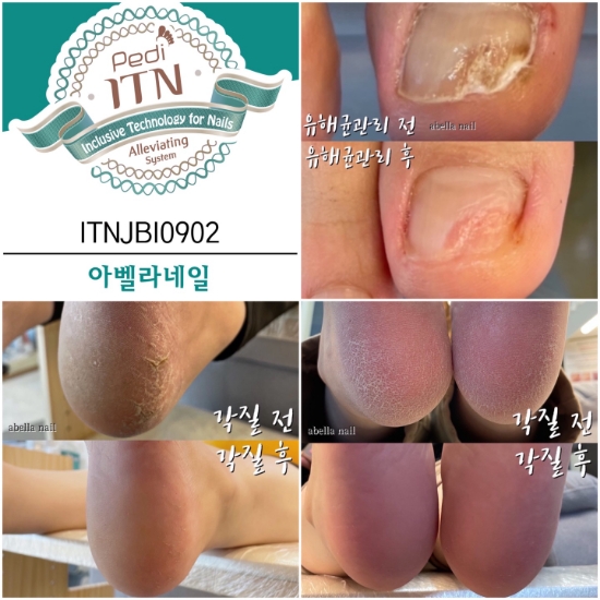 시저스헤어 이미지