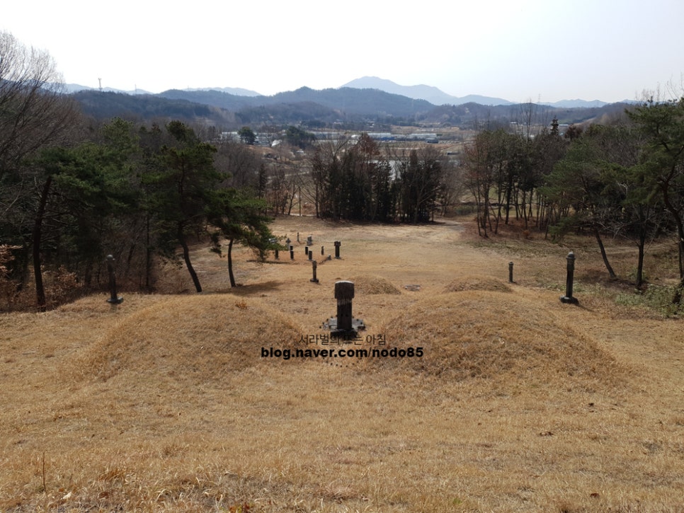 숙정씨 이미지