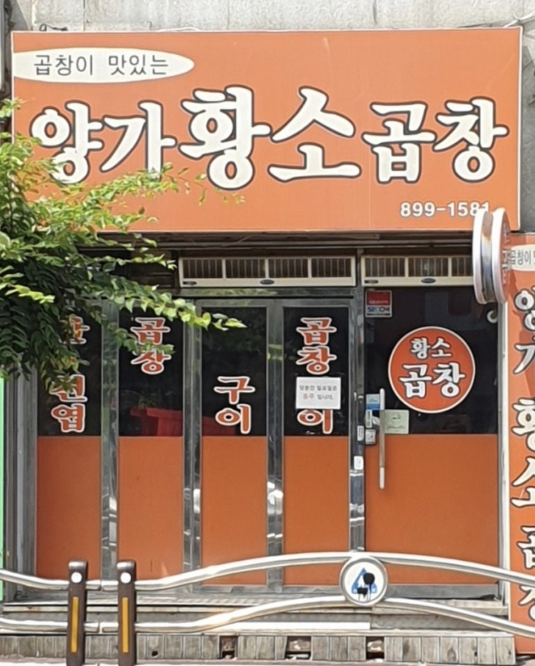 양가황소곱창 이미지