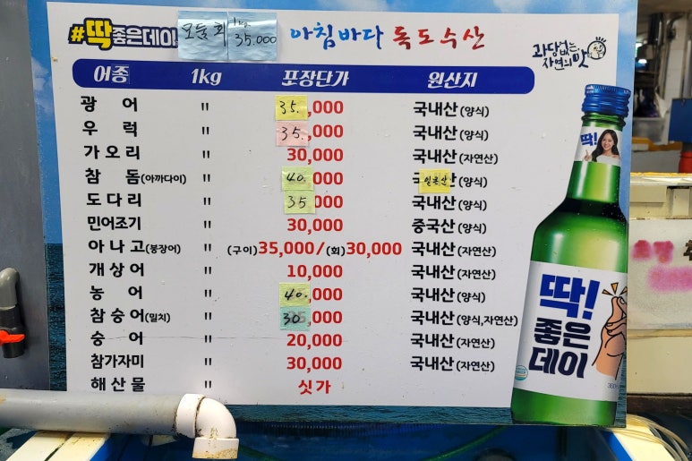 아침바다독도 이미지
