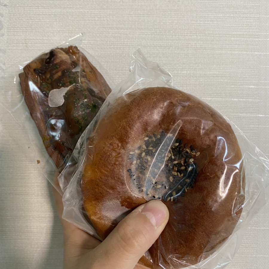 브라운아지트 이미지