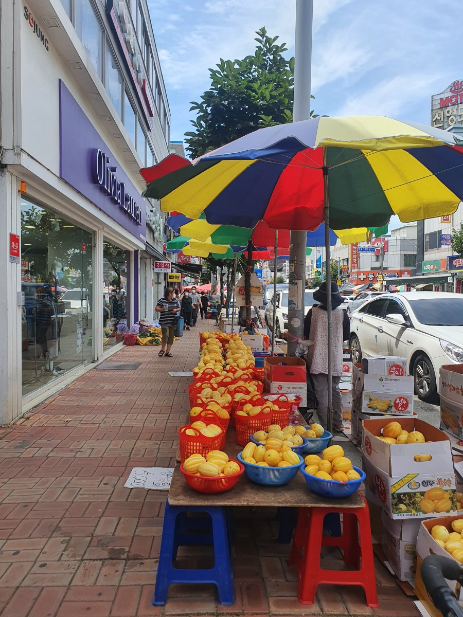 과일정원 이미지