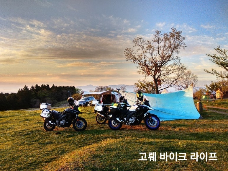 동양닭집 이미지