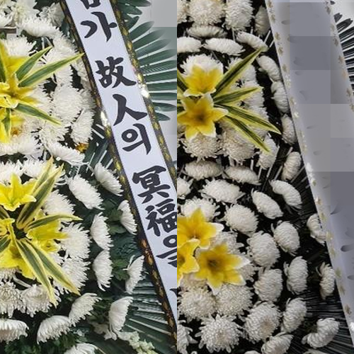 장성꽃배달서비스 이미지