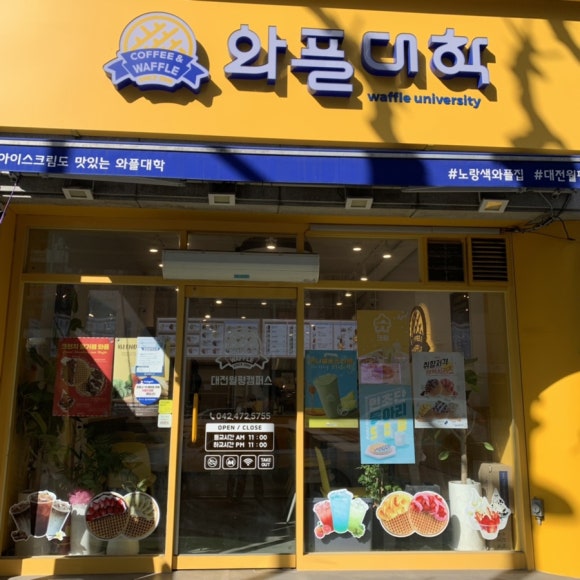 와플대학대전 이미지