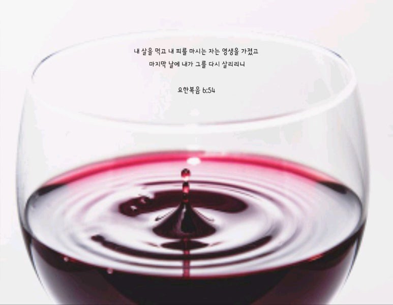 피 이미지