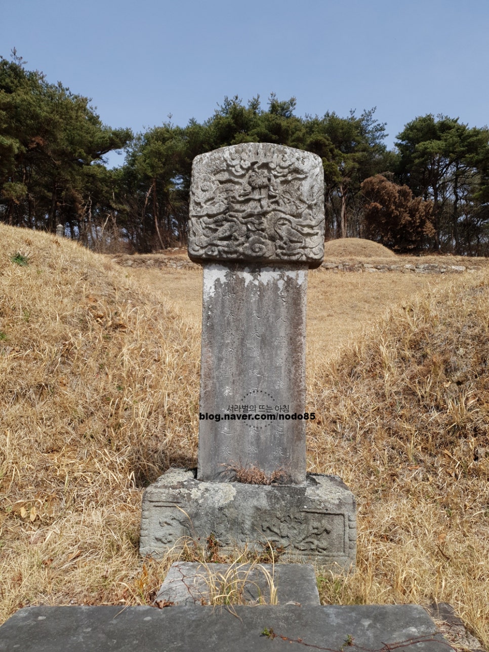 숙정씨 이미지