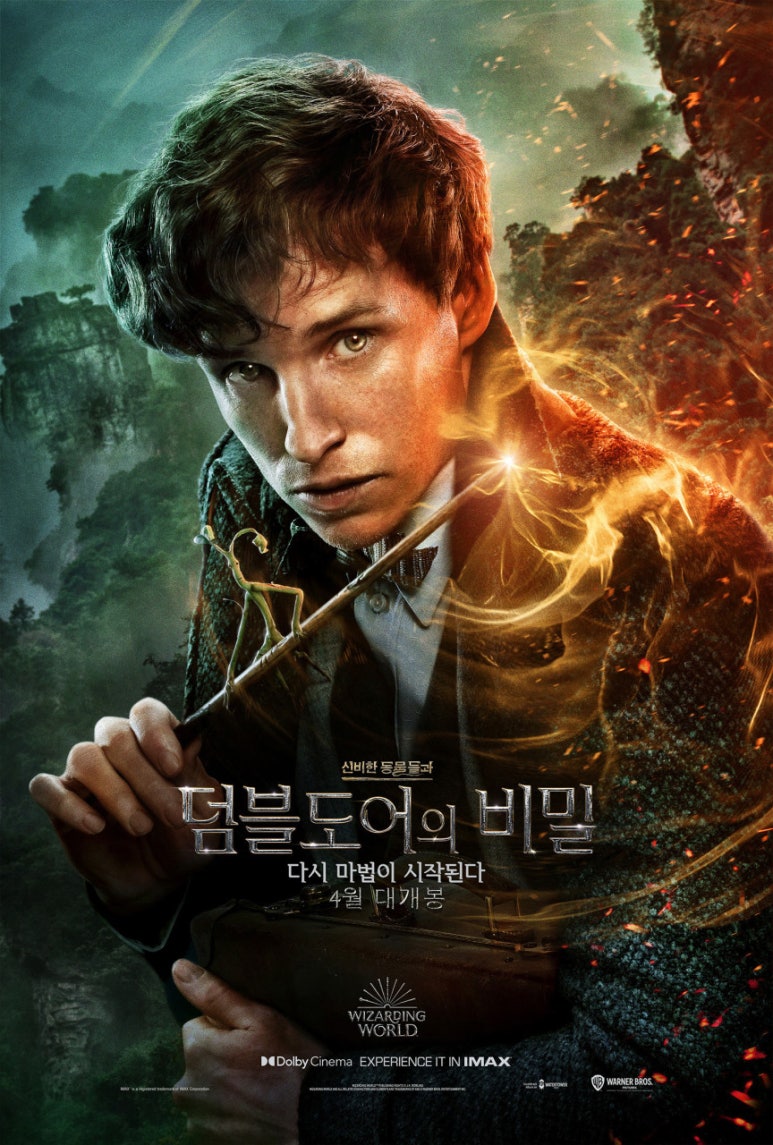 신비체육관 이미지