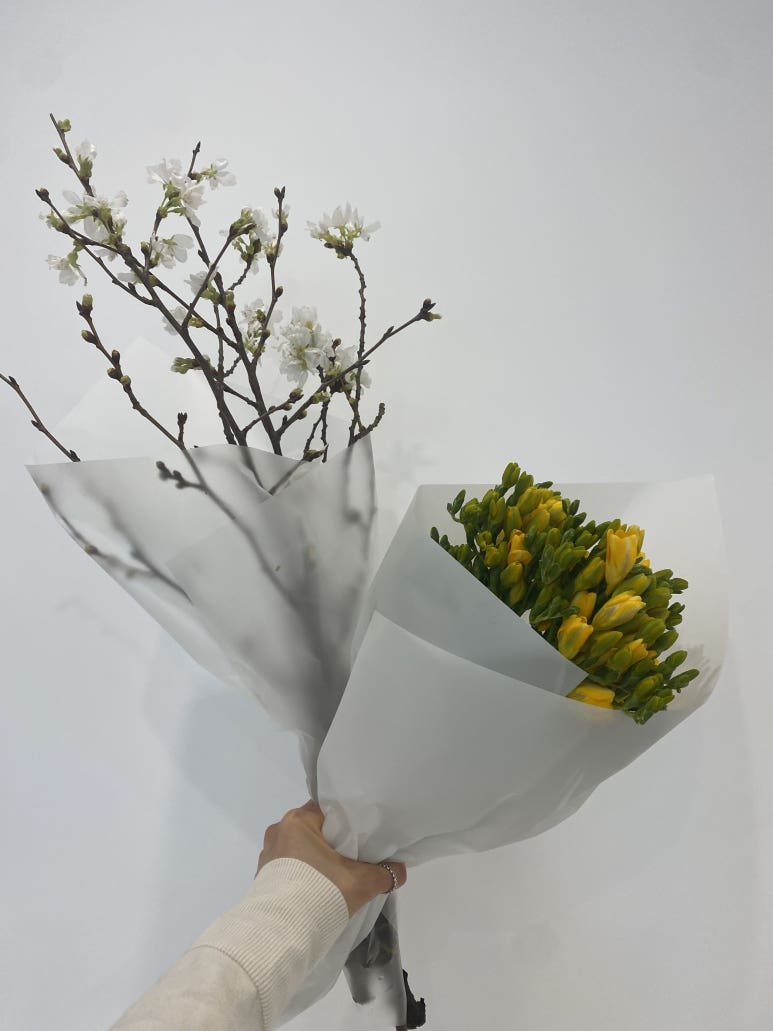 오픈투유 이미지