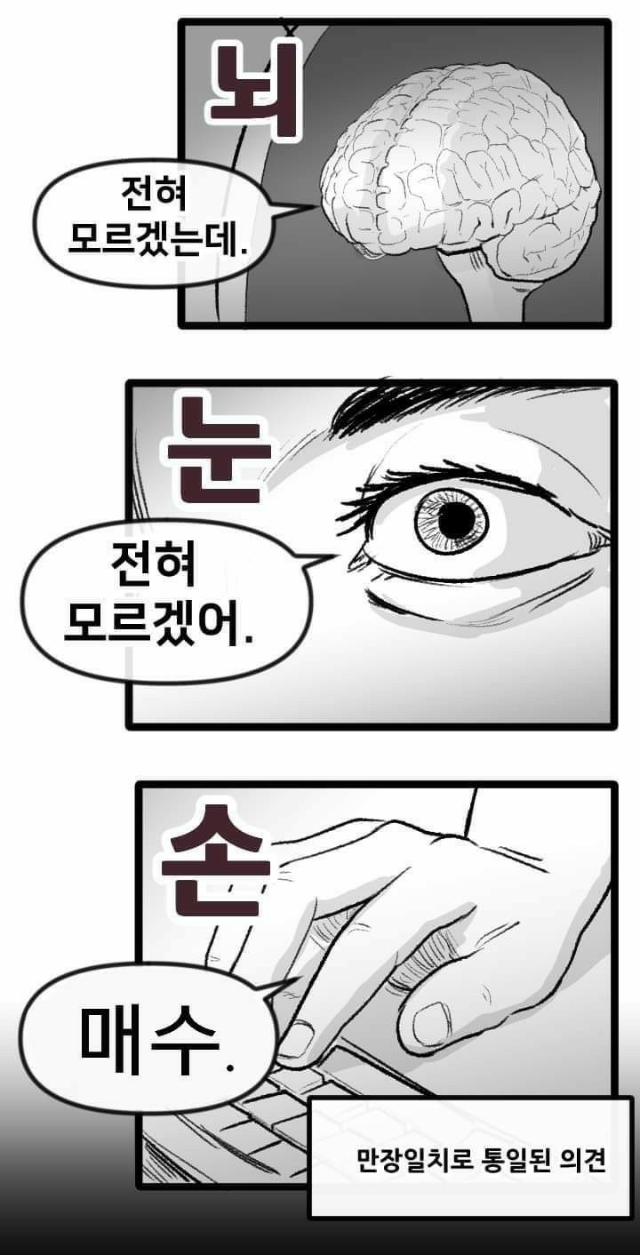 더반프로젝트 이미지