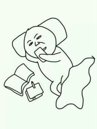 스팀&광택 이미지