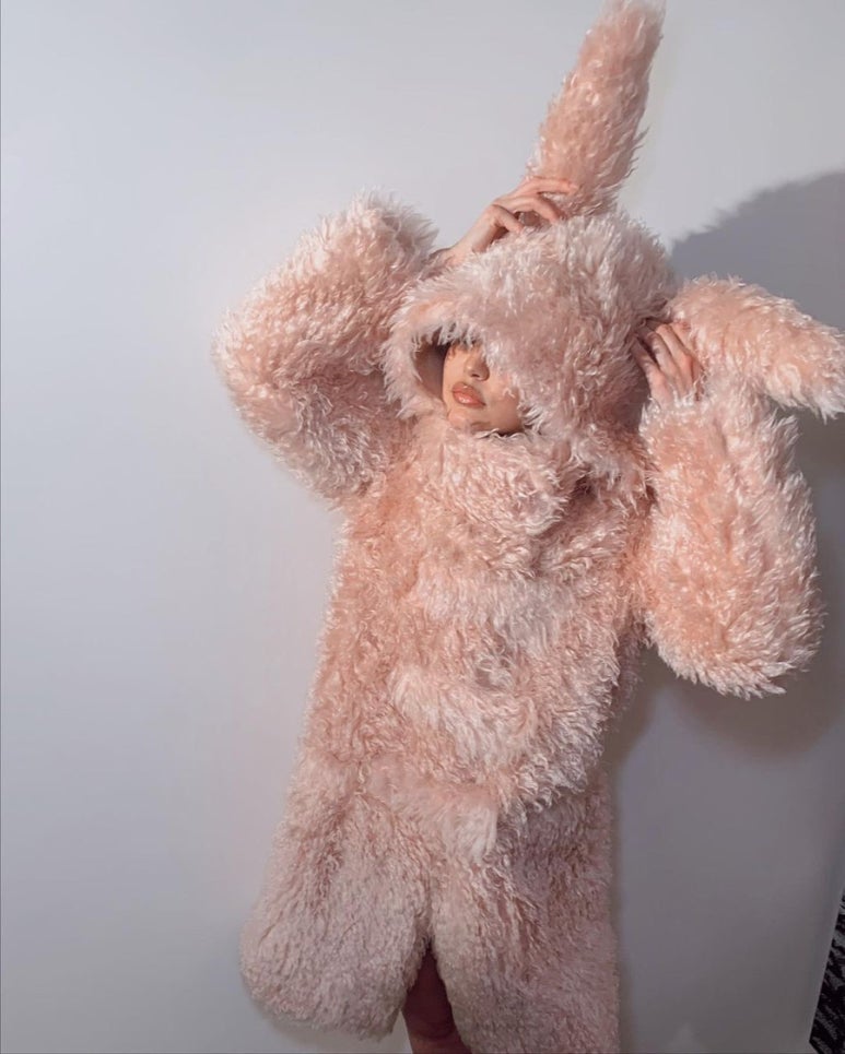 지지 이미지