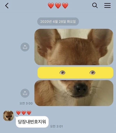 선데이버거클럽 이미지