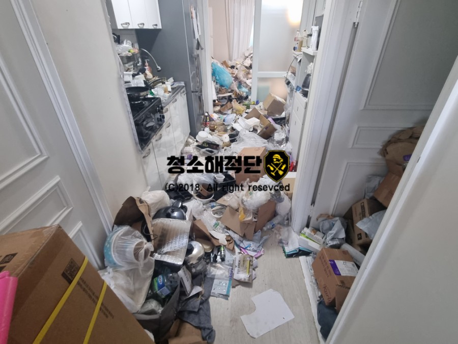 청소해적단 이미지
