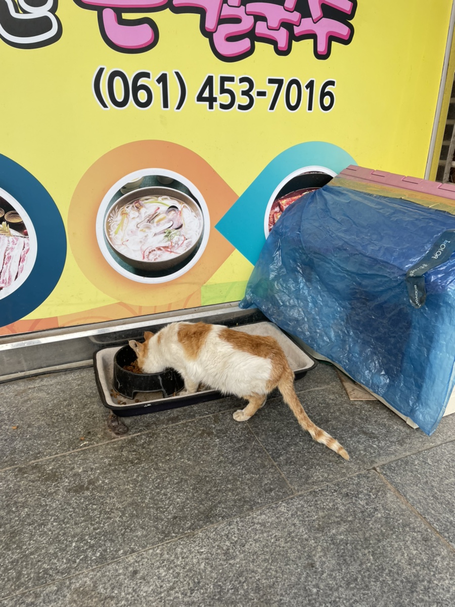 무안손칼국수 이미지