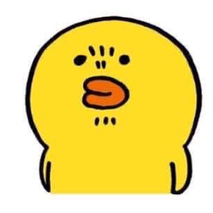 묘우.묘우 이미지