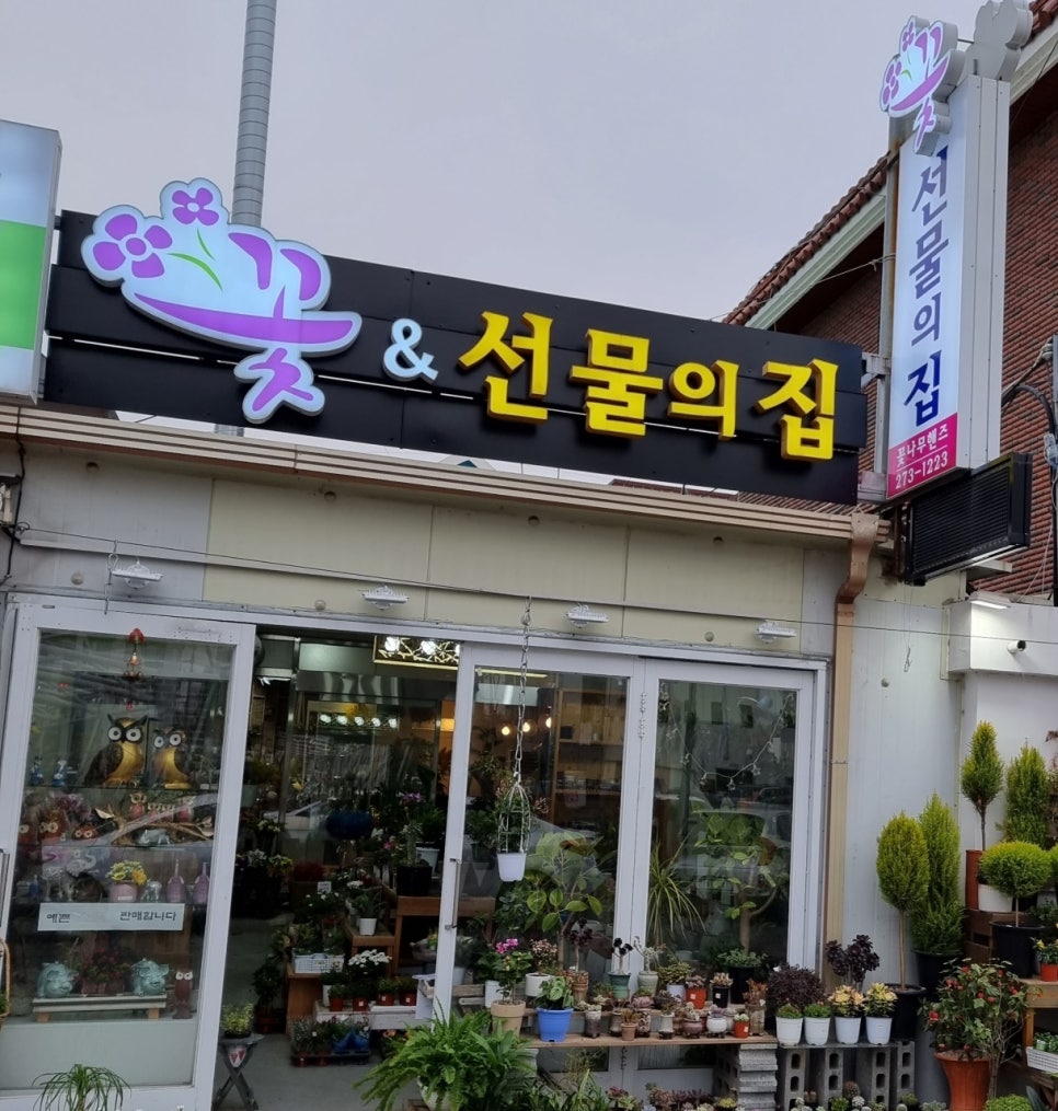 꽃나무핸즈 이미지