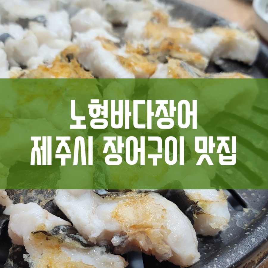 노형바다장어 이미지