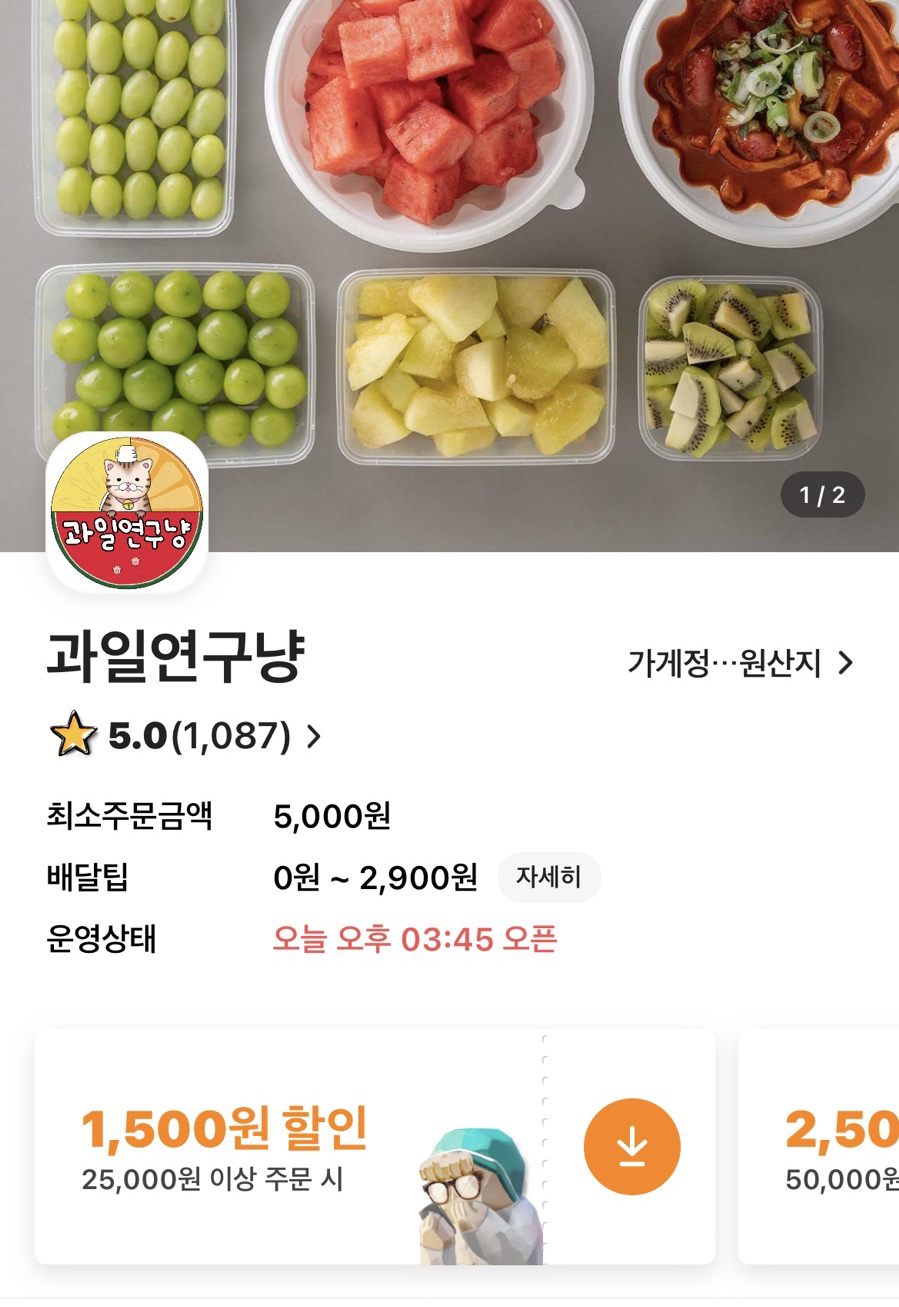 과일연구냥 이미지