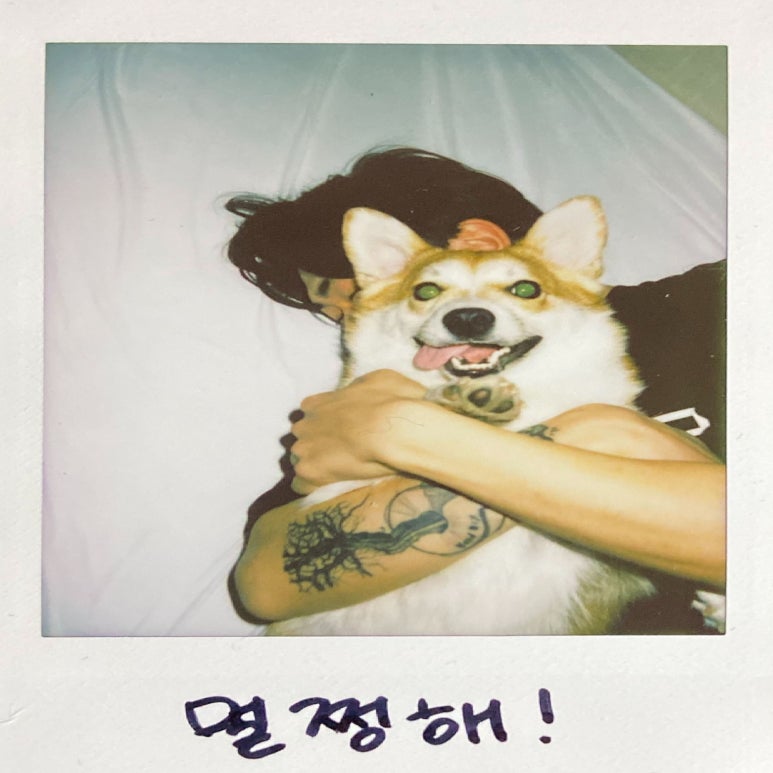 코칠리 이미지