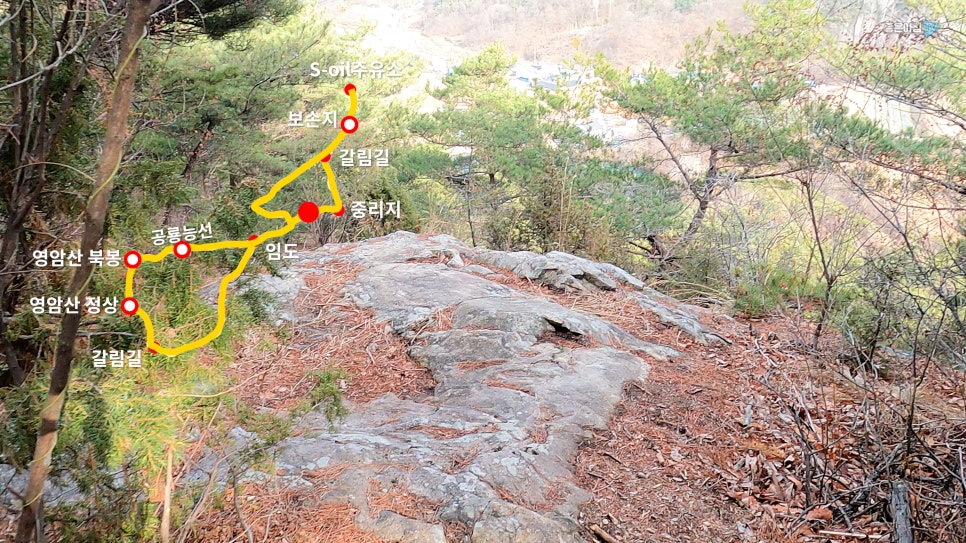 임도 중간 조망터 이미지
