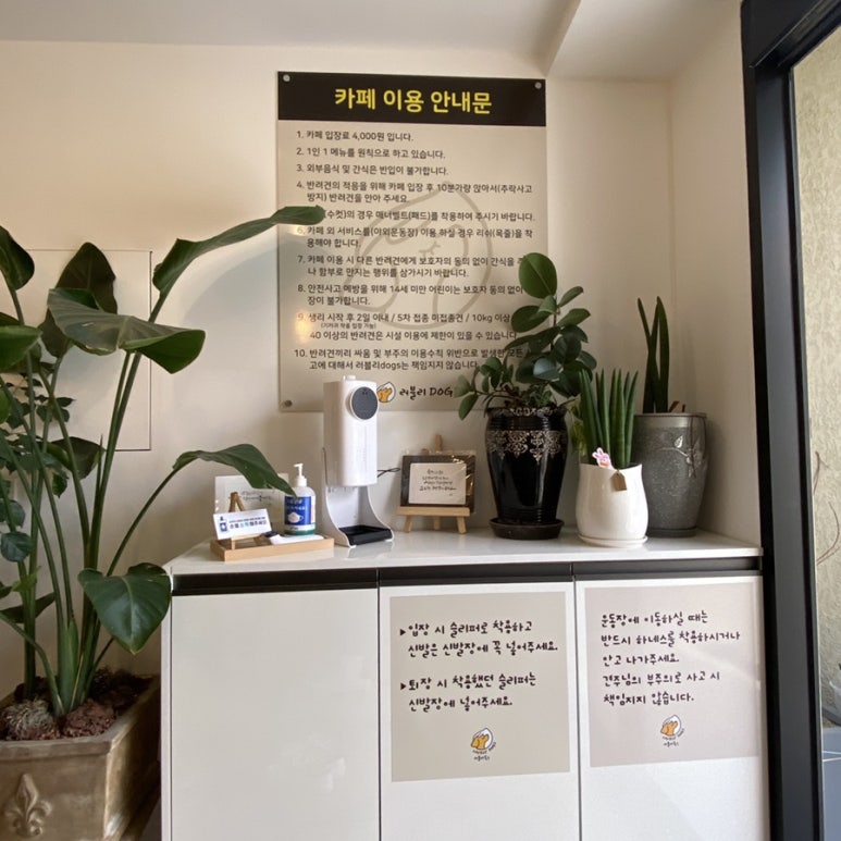러블리독스 이미지