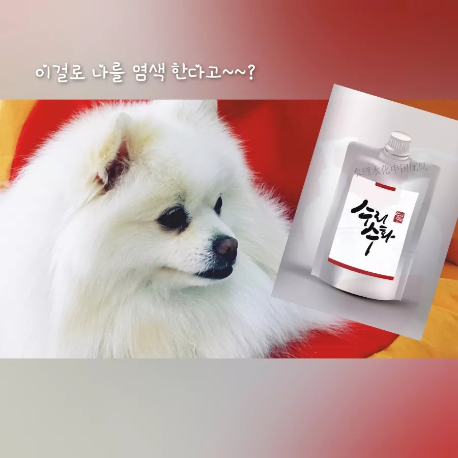 건강연구소 이미지