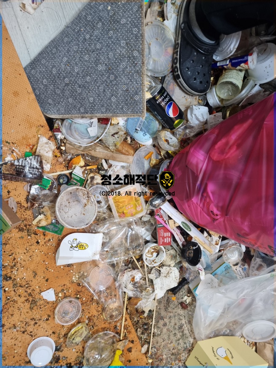 청소해적단 이미지