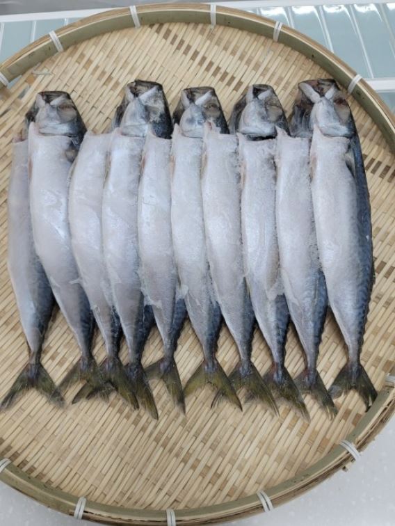 등대수산 이미지