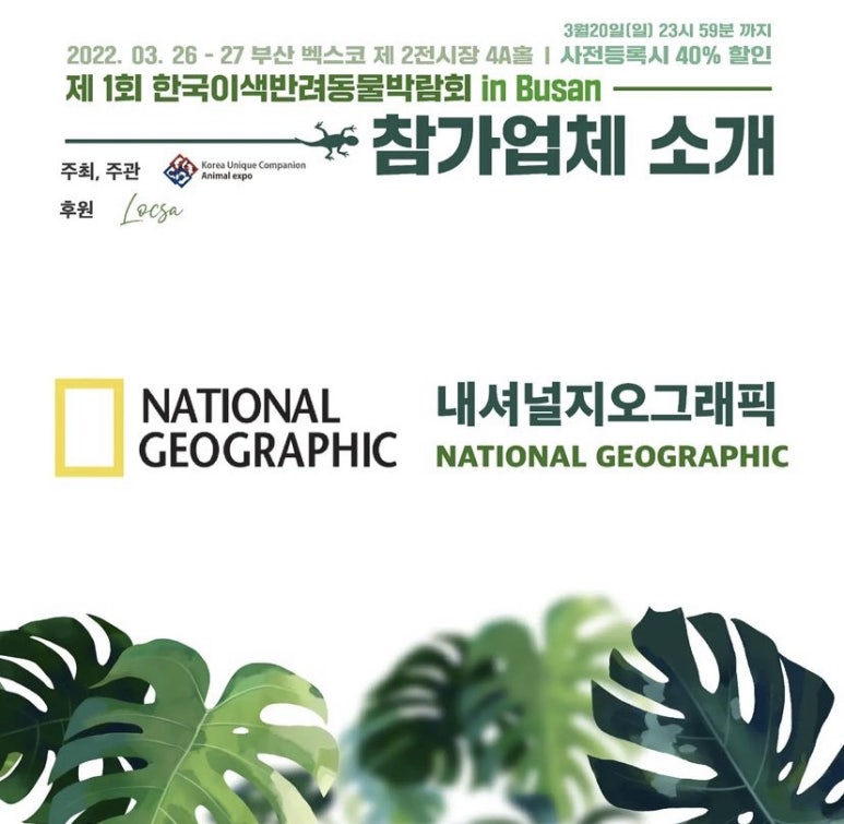 한국이색반려동물박람회 이미지