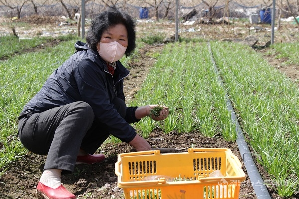 순로컬푸드 이미지