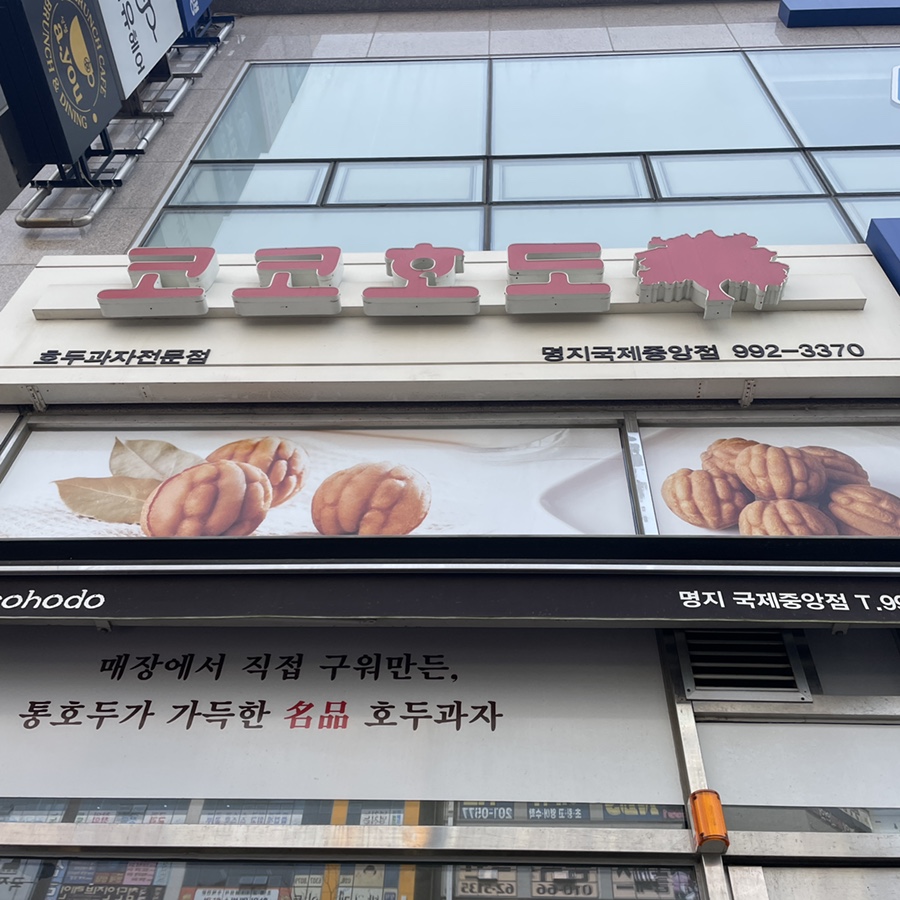 코코호도명지국제 이미지