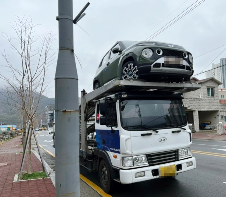 오토카이저 이미지