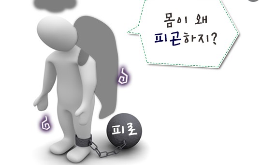 스타일피트 이미지