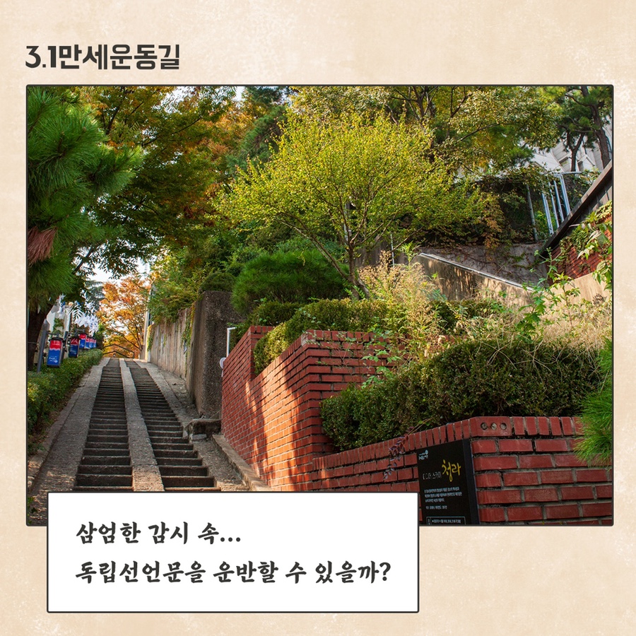 초록배낭 이미지
