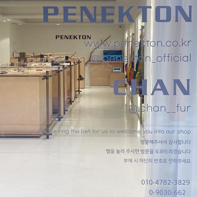 페넥톤(PENEKTON) 이미지