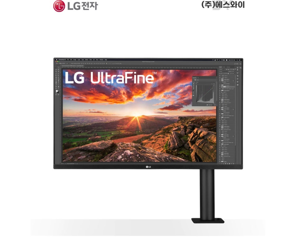 더에스와이 주식회사 이미지