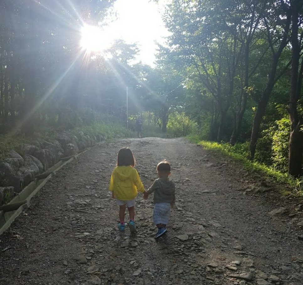수락산 유아숲체험원 이미지