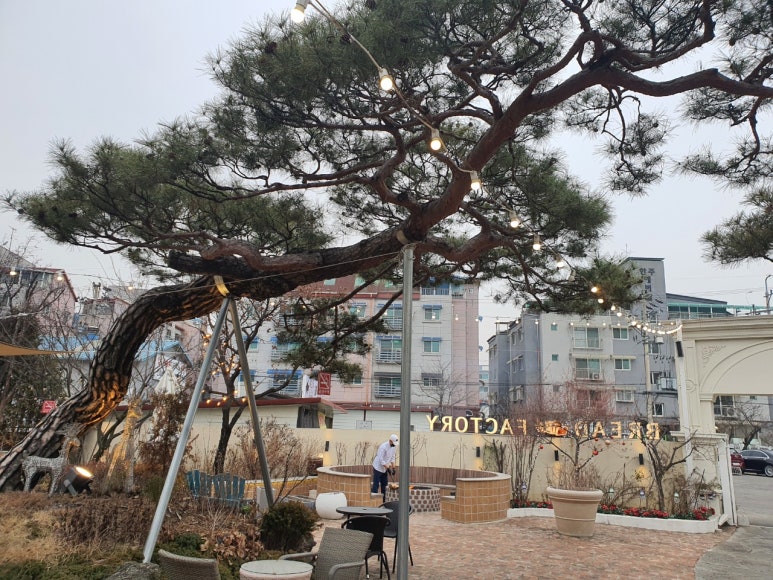 베이커리팩토리 이미지