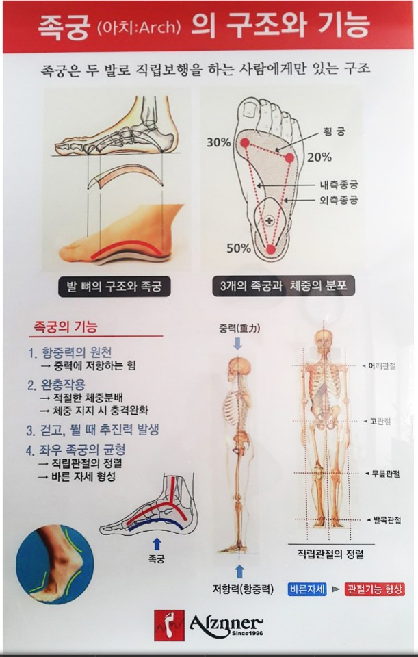 알즈너 명품발 대리점 이미지