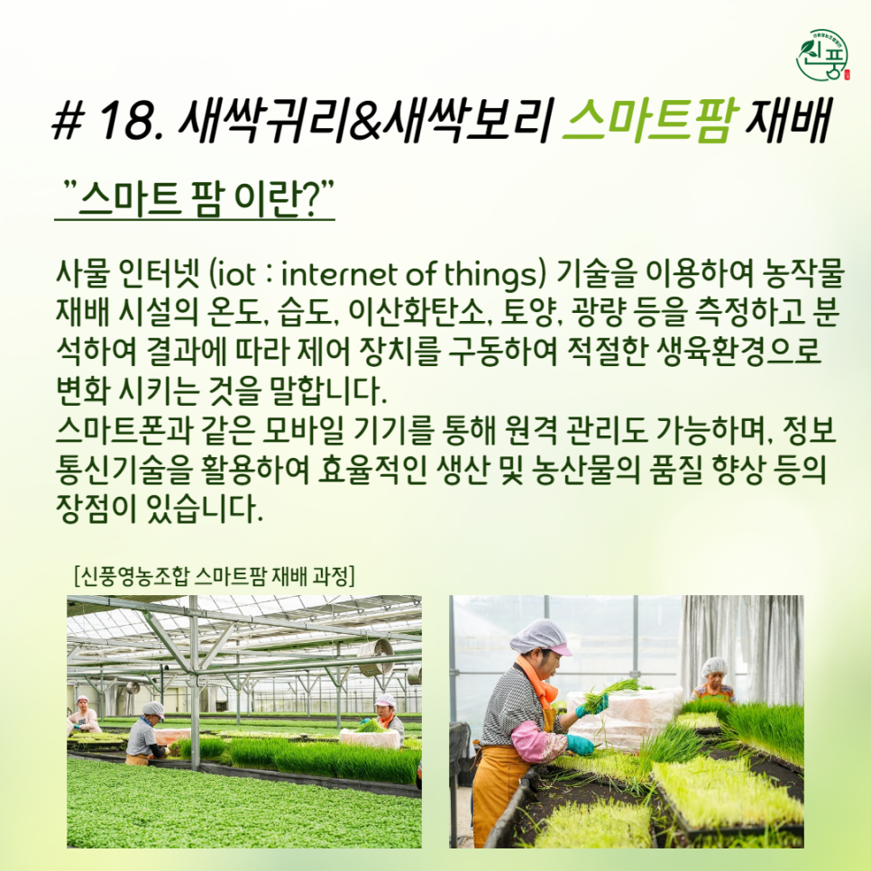 신풍영농조합법인 이미지